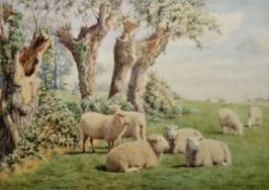 William Sidney Cooper (1854-1927) Watercolour drawing  Sheep under willow trees, Springtime,