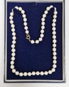 Single row of uniform cultured pearls, 6.7-6.9mm diameter approx, with 9ct gold bolt ring clasp