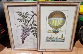 Set of three prints of 18th/19th century paintings of hot air balloons, four botanical prints, a
