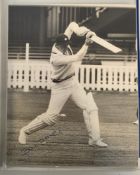 Yorkshire County Cricket Club, folder of assorted ephemera, postcards, original photographs,