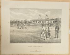 'Cynicus'  Watercolour colour 