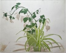 LOT WITHDRAWN; Daphne Pepper  Limited edition print 