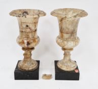 Pair of 19th century Crich Spar urns of campana form, both raised on square slate bases (one a/f),