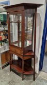 Late 19th / early 20th century Art Nouveau mahogany display cabinet of stylised form, the single