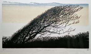 Merlyn Chesterman (b. 1949) Lithograph 