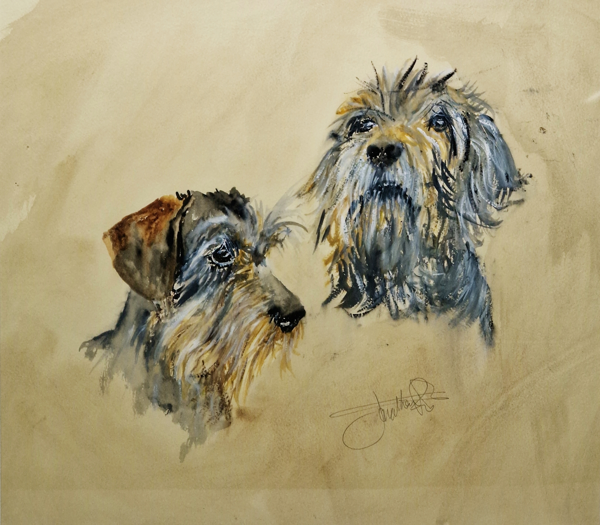 Two watercolour and gouache studies of dogs heads, probably wire-haired Dachshunds, indistinctly