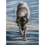 After Vic Bearcroft Colour print "Winter's Trail", wolf in snowy environment, limited edition,