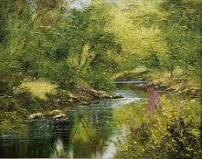 Terence Evans (b.1943) Oil on canvas Woodland scene with slow flowing river, signed lower right,
