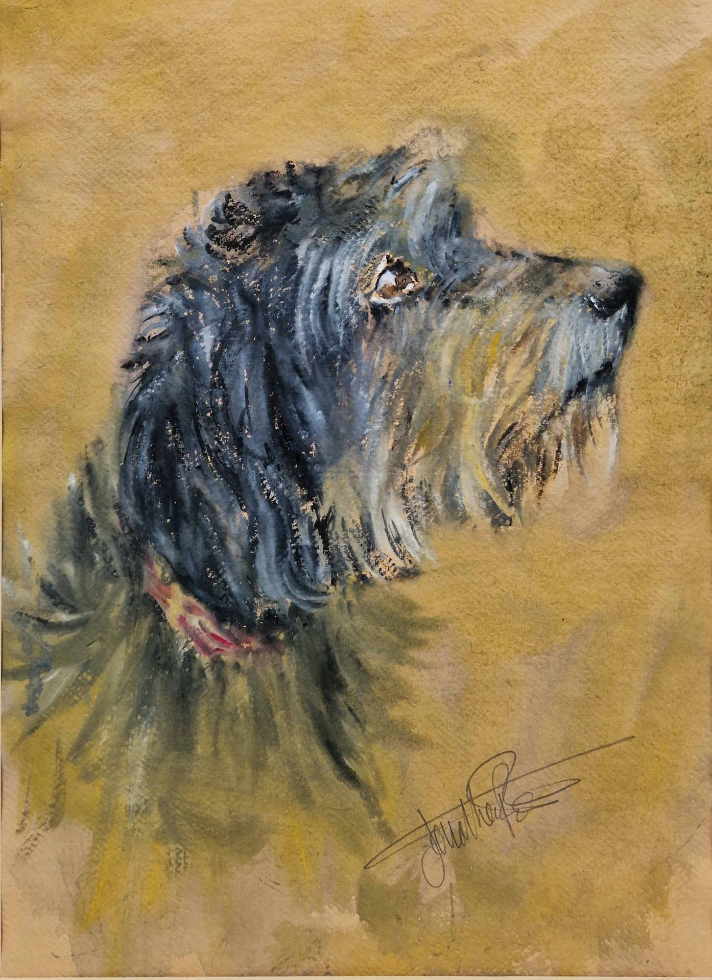 Two watercolour and gouache studies of dogs heads, probably wire-haired Dachshunds, indistinctly - Image 2 of 6