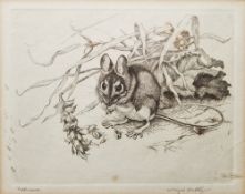 Winifred Austen R.I. (1876-1964) Etching 