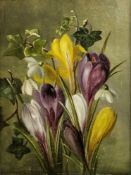 Attributed to Sara Tscherning (Danish, 1855-1916) Oil on canvas Study of crocus and snowdrops,