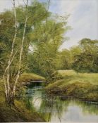 Terence Evans (b.1943) Oil on canvas Woodland scene with river, signed lower right, 76.5cm x 61cm