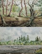 Thomas McAndrew (1916-2002) Watercolour 'Beechwood, New Forest', artist label verso, framed and