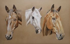 Brian Chapman (20th century) Pastel on paper Study of three horses' heads, signed and dated 4/10/