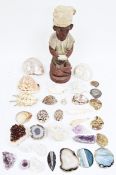 Collection of shells, fossils and stones including polished ammonites, orthoceras fossil, agate