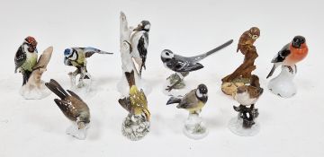 Collection of Rosenthal porcelain models of birds, each naturalistically modelled perched on a