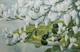 After Charles Frederick Tunnicliffe OBE RA (1901-1979) Lithograph in colours 'Mallards and