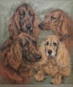 Marjorie Cox (1915-2003) Pastel on paper Head studies of four dogs, signed and dated 1989 lower