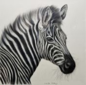 Lucinda Caldrey (British, contemporary) Charcoal on paper Study of a zebra head, signed lower right,