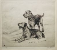 Lucy Dawson (1867-1954) Etching on paper The Hilltop, Two Irish Terriers, signed and titled in