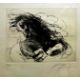 After Jean-Marie Guiny, limited edition print, Black and white study of horse rearing, 2/150, signed - Image 1 of 4