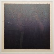 Bill Jacklin RA (b.1943) Screenprint in colours 'Skylight' 1975, signed, dated and numbered 2/65