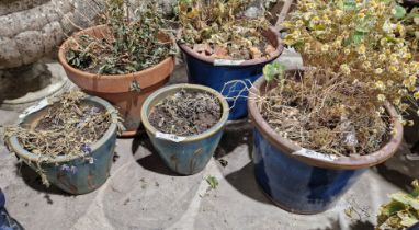 Six various garden plant pots in plain and glazed terracotta and one plastic, including a pair of