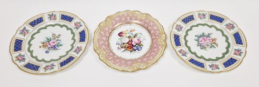 Chamberlain's Worcester botanical cabinet plate, circa 1840, printed pink mark, painted with a