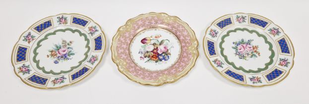 Chamberlain's Worcester botanical cabinet plate, circa 1840, printed pink mark, painted with a