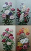 J. Arrowsmith (19th/20th century) Watercolour and gouache Four floral studies, signed lower right,
