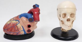 Anatomical medical educational PVC model of a human heart on stand, 24cm high, together with a