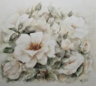 Kitty Mulder (contemporary) Watercolour 'English Rose, White', signed lower right, retains