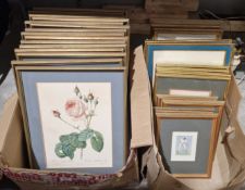 A set of 15 Pierre Joseph Redoute botanical prints of roses, all framed and glazed (one glass
