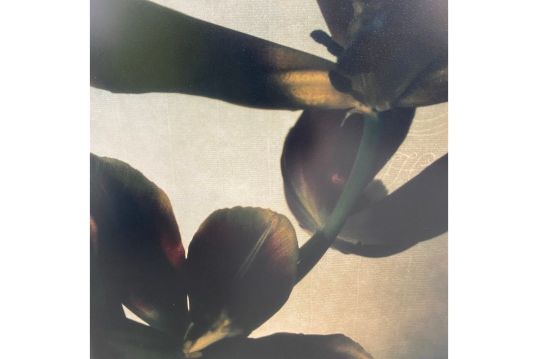 Three contemporary abstract photographic prints framed as a triptych. 111x67cm. - Image 4 of 5