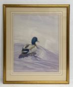 Virginia Austin (Virginia Miller b.1951), a large contemporary watercolour portrait of a duck,
