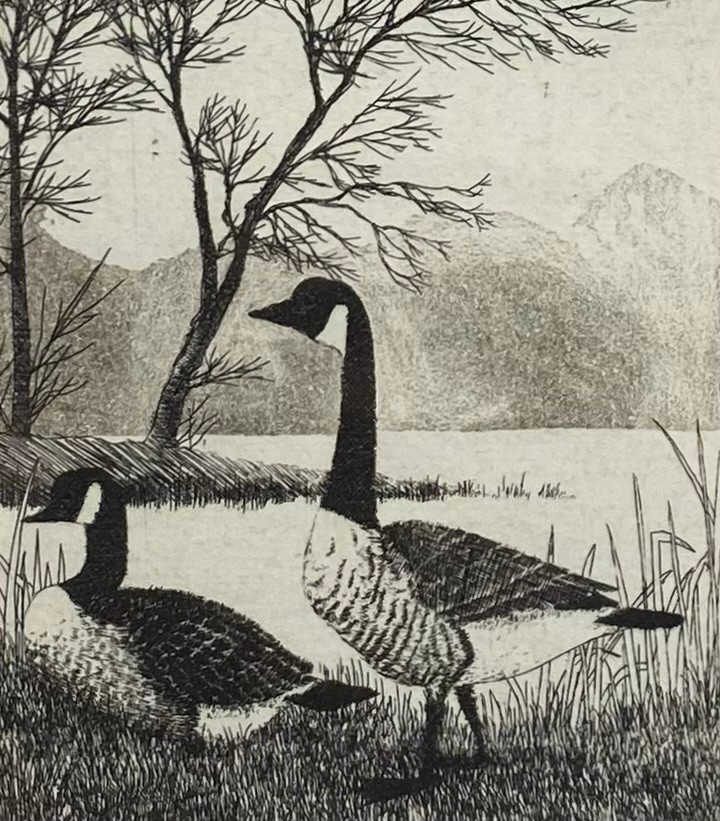 A pair of etchings depicting geese and ducks by Frans Wesselman (b.1953) together with a portrait of - Image 3 of 8