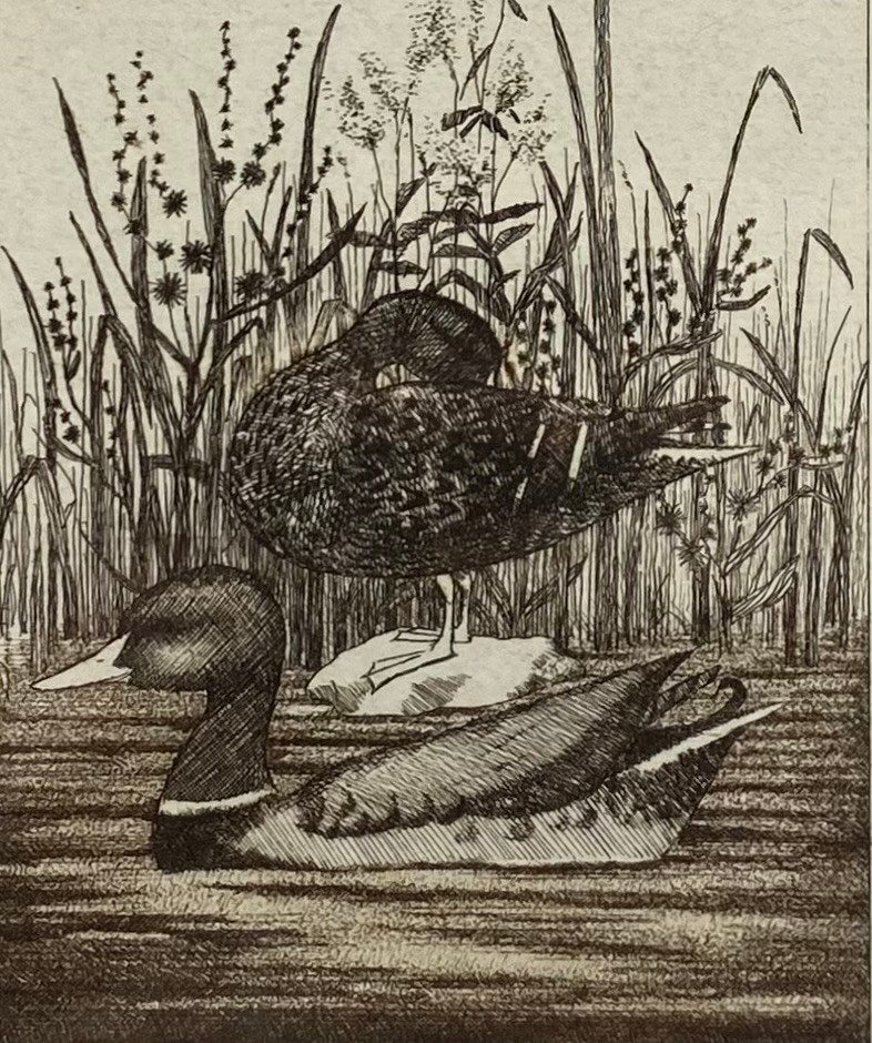A pair of etchings depicting geese and ducks by Frans Wesselman (b.1953) together with a portrait of - Image 2 of 8