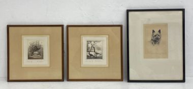 A pair of etchings depicting geese and ducks by Frans Wesselman (b.1953) together with a portrait of