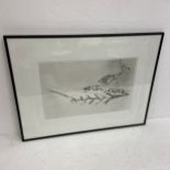 A contemporary abstract lithograph in a glazed frame. 68x52cm.