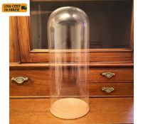 A 19th century glass specimen display dome or bell jar on a cork base. H.48cm.
