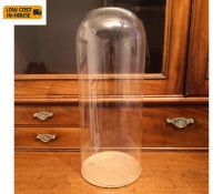 A 19th century glass specimen display dome or bell jar on a cork base. H.48cm.