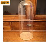 A 19th century glass specimen display dome or bell jar on a cork base. H.48cm.