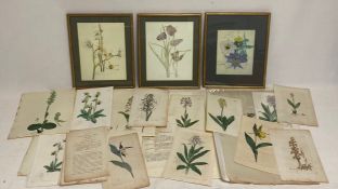 A large collection of 18th century hand coloured engravings together with three framed prints