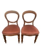 A pair of C.1900 mahogany balloon back dining chairs with pink velour upholstered serpentine seats