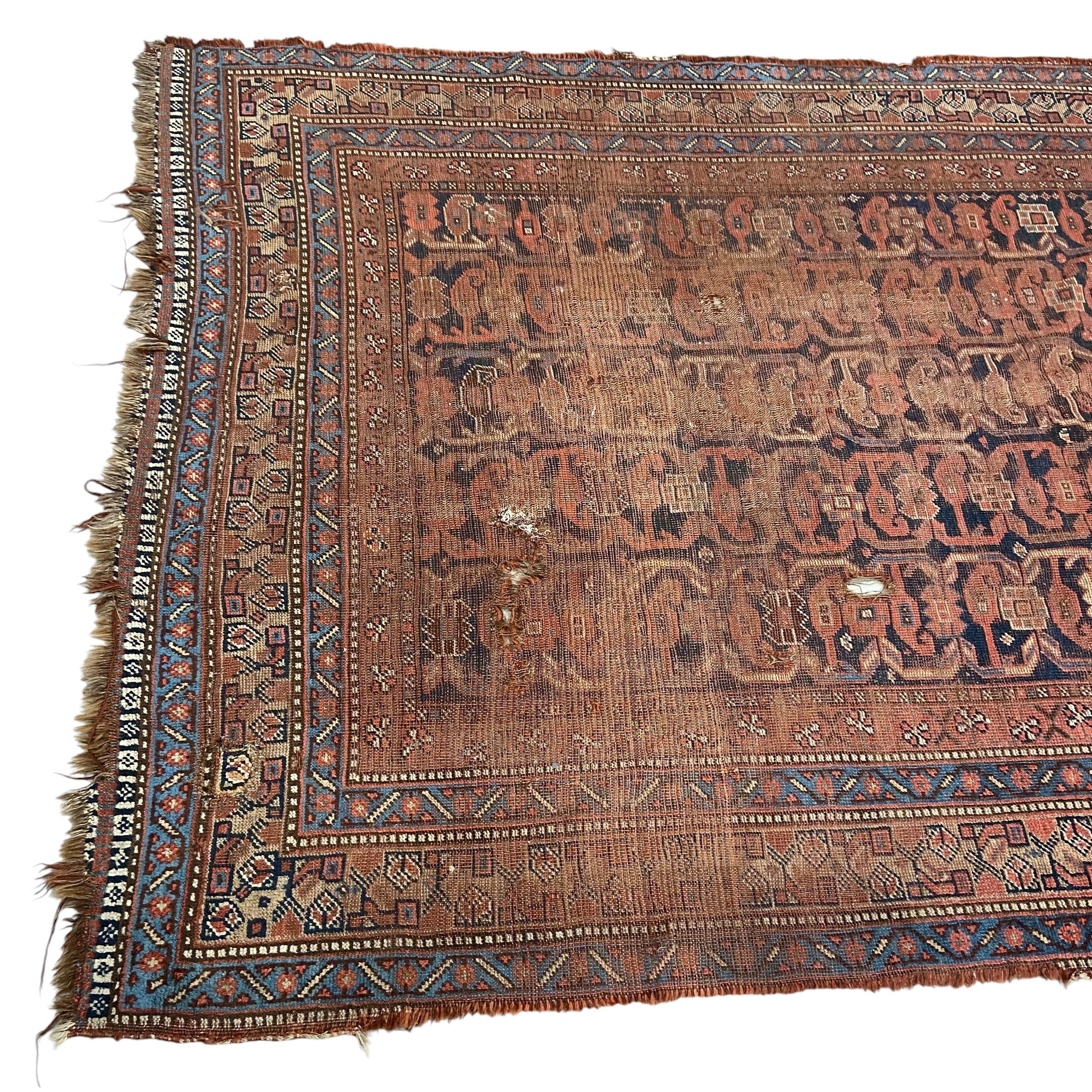 A large Persian Baluch carpet with five rows of sixteen polychrome guls over a midnight blue - Image 2 of 5