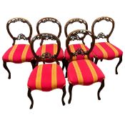 A set of six 19th century mahogany balloon back dining chairs each with carved openwork back over