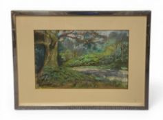 A 20th century pastel study of a woodland path, signed Dick Rushworth bottom left in a glazed