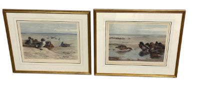 Archibald Thorburn (1860-1935), a pair of signed duck prints after the original paintings. Both