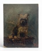 A small late 19th century oil on board. Portrait of a terrier dog. Signed bottom right. Unframed.
