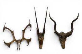 A vintage taxidermy African Gemsbok head and antlers together with a similarly mounted Greater